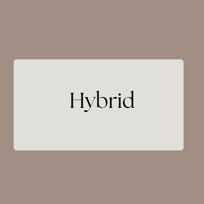 Hybrid Lashes